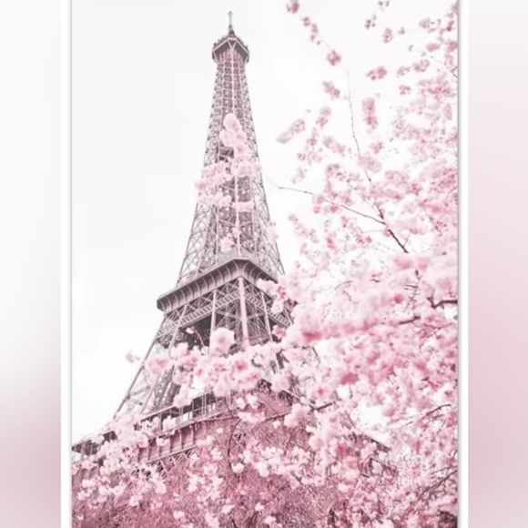 No name Other - Paris Tower Pink Flower Fashion 16x20 Art Print 2D * New*